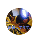 明光ファミリー2（個別スタンプ：8）