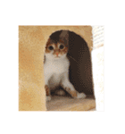 茶トラ猫つめあわせ（個別スタンプ：19）