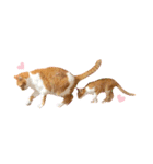 茶トラ猫つめあわせ（個別スタンプ：35）