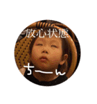 ぽにょこの挨拶（個別スタンプ：13）