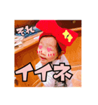 ぽにょこの挨拶（個別スタンプ：14）