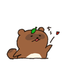 たぬきのたぬ（個別スタンプ：1）