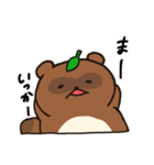 たぬきのたぬ（個別スタンプ：20）