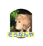 ワイヤーダックスQooちゃん3（個別スタンプ：2）