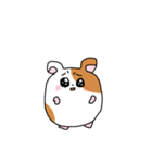 はむすたまん（個別スタンプ：14）