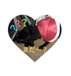 我が家の愛犬★アンディくん♂（個別スタンプ：4）