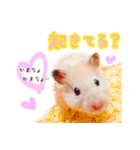 きなこさんのゆるかまちょ（個別スタンプ：2）
