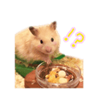 きなこさんのゆるかまちょ（個別スタンプ：5）