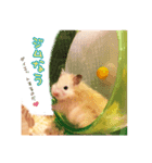 きなこさんのゆるかまちょ（個別スタンプ：6）