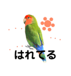 インコのセセリ♂6（個別スタンプ：2）