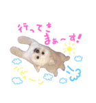 仔犬のるるちゃん 2（個別スタンプ：1）