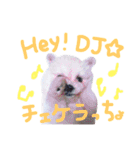 仔犬のるるちゃん 2（個別スタンプ：24）