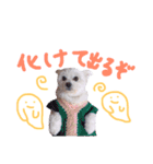 仔犬のるるちゃん 2（個別スタンプ：26）