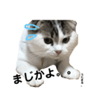 うたまる日記。（個別スタンプ：2）
