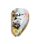 うたまる日記。（個別スタンプ：6）