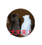 猫達と一言（個別スタンプ：29）