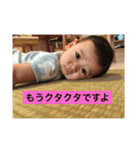 ソース家（個別スタンプ：5）