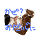 我が家のニチジョー。（個別スタンプ：4）