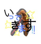 我が家のニチジョー。（個別スタンプ：9）