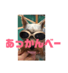 テトタロ（個別スタンプ：3）