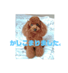 テトタロ（個別スタンプ：12）