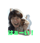 テトタロ（個別スタンプ：13）