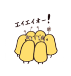 そら豆ぴよこスタンプ（個別スタンプ：30）