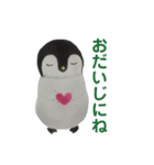 水曜日のペンギンくん（個別スタンプ：1）