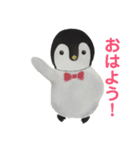 水曜日のペンギンくん（個別スタンプ：3）
