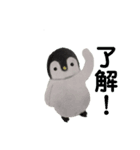 水曜日のペンギンくん（個別スタンプ：8）