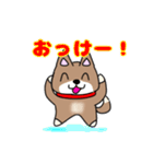 柴犬ガウガウちゃんねる2（個別スタンプ：1）
