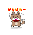 柴犬ガウガウちゃんねる2（個別スタンプ：4）