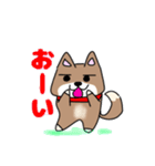 柴犬ガウガウちゃんねる2（個別スタンプ：5）
