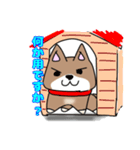 柴犬ガウガウちゃんねる2（個別スタンプ：6）