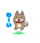 柴犬ガウガウちゃんねる2（個別スタンプ：12）