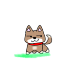 柴犬ガウガウちゃんねる2（個別スタンプ：13）