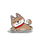 柴犬ガウガウちゃんねる2（個別スタンプ：14）