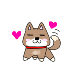 柴犬ガウガウちゃんねる2（個別スタンプ：15）