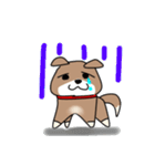 柴犬ガウガウちゃんねる2（個別スタンプ：20）