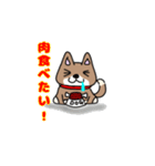 柴犬ガウガウちゃんねる2（個別スタンプ：21）