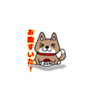 柴犬ガウガウちゃんねる2（個別スタンプ：24）