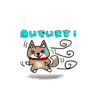 柴犬ガウガウちゃんねる2（個別スタンプ：33）