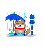 柴犬ガウガウちゃんねる2（個別スタンプ：34）