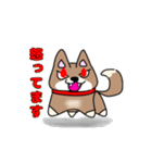 柴犬ガウガウちゃんねる2（個別スタンプ：36）