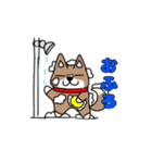 柴犬ガウガウちゃんねる2（個別スタンプ：37）