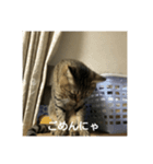 シマアジの可愛いスタンプ（個別スタンプ：4）