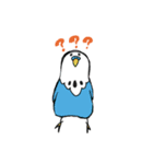 インコのららちゃん（個別スタンプ：3）