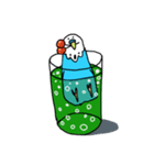 インコのららちゃん（個別スタンプ：4）