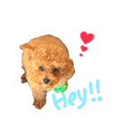 加藤さん家のエースくん（個別スタンプ：2）