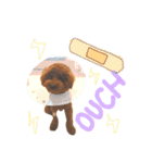 加藤さん家のエースくん（個別スタンプ：11）